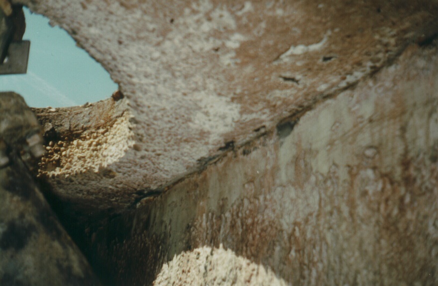 Figure 1 - Extensive Deterioration of Concrete Occurs in Headspaces due to Biogenic Sulfide Corrosion