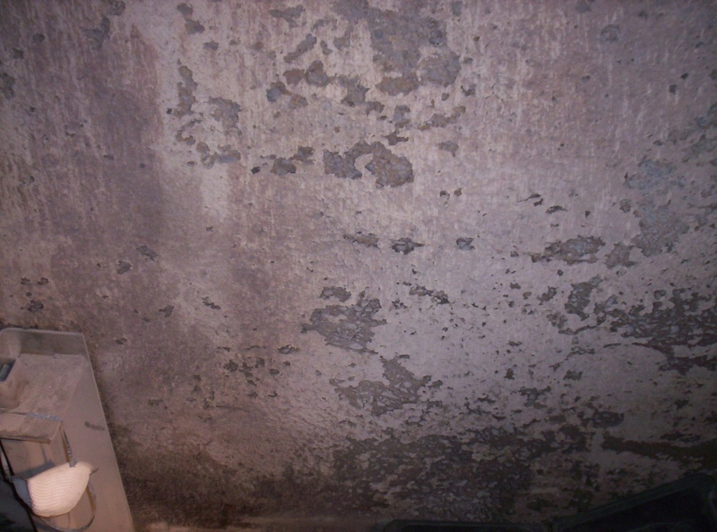 Figure 8. Concrete deterioration due to improper lining selection.